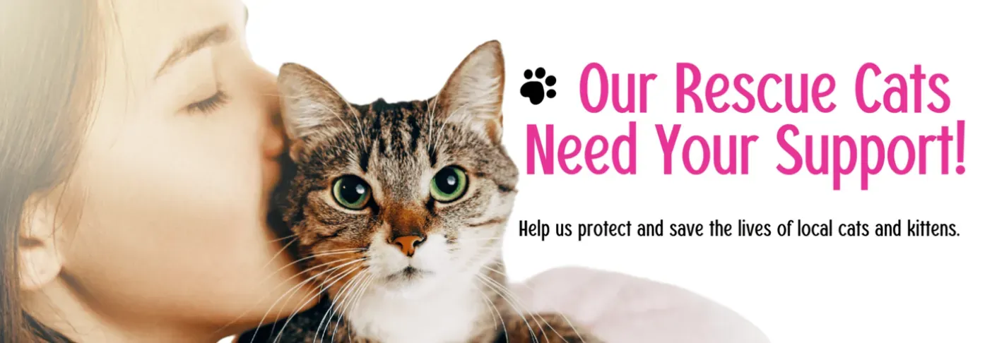 Rescue Cats Donation banner