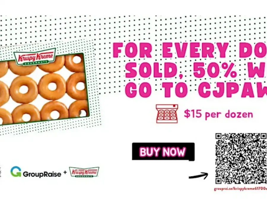 Donuts for Cats