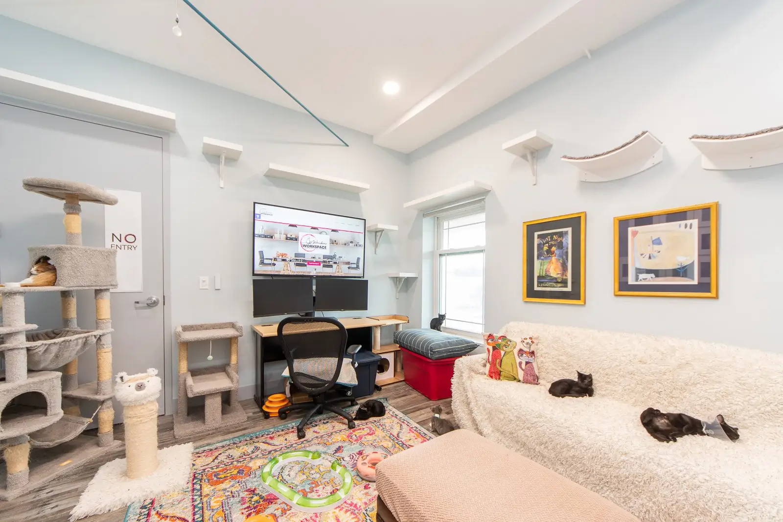 Purr Haven Workspace