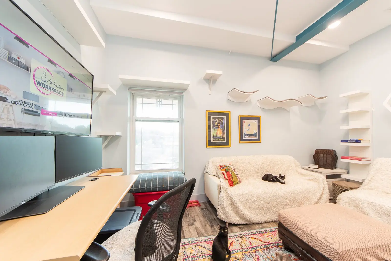 Purr Haven Workspace