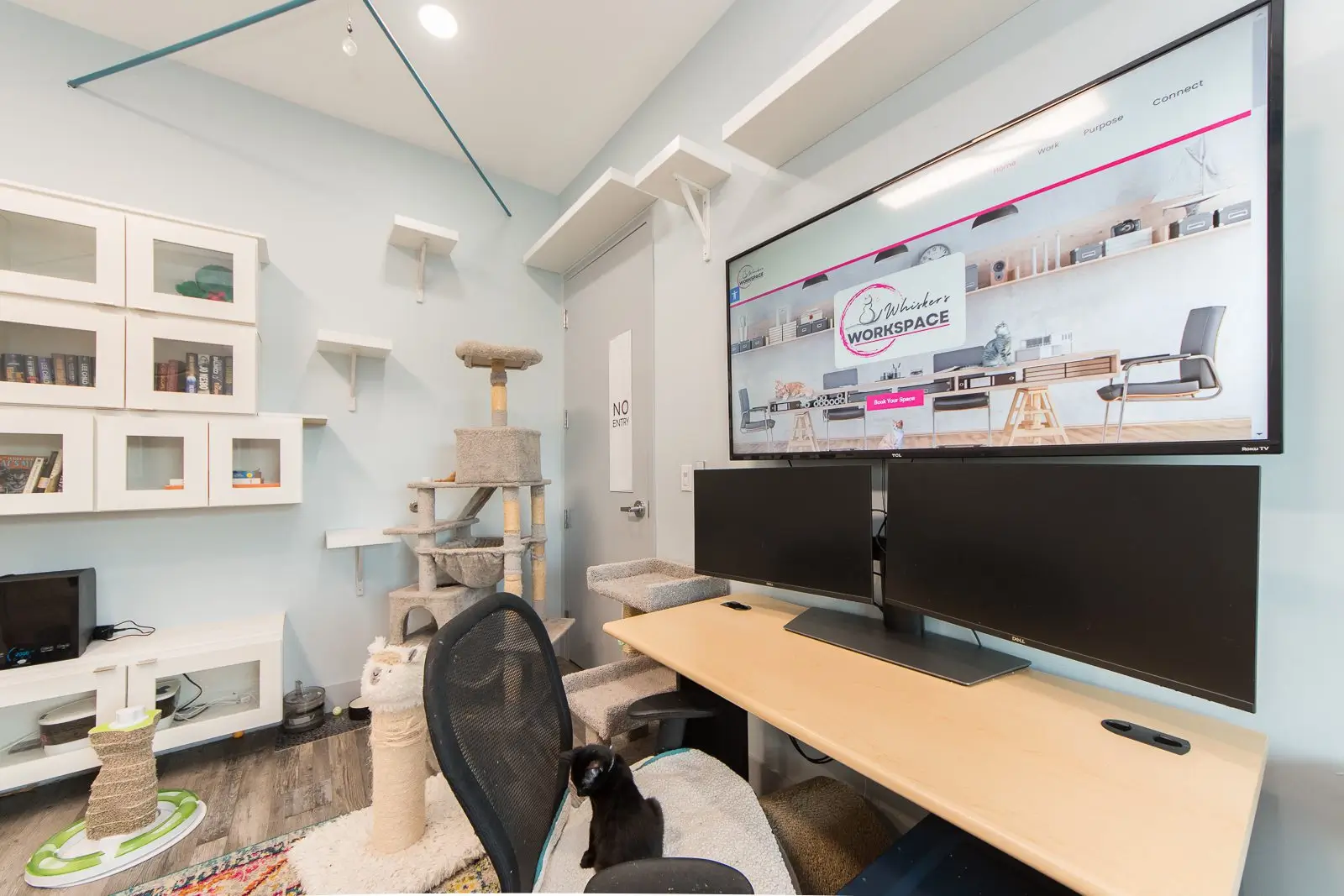 Purr Haven Workspace