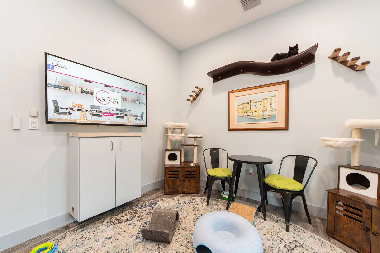 Feline Focus Workspace