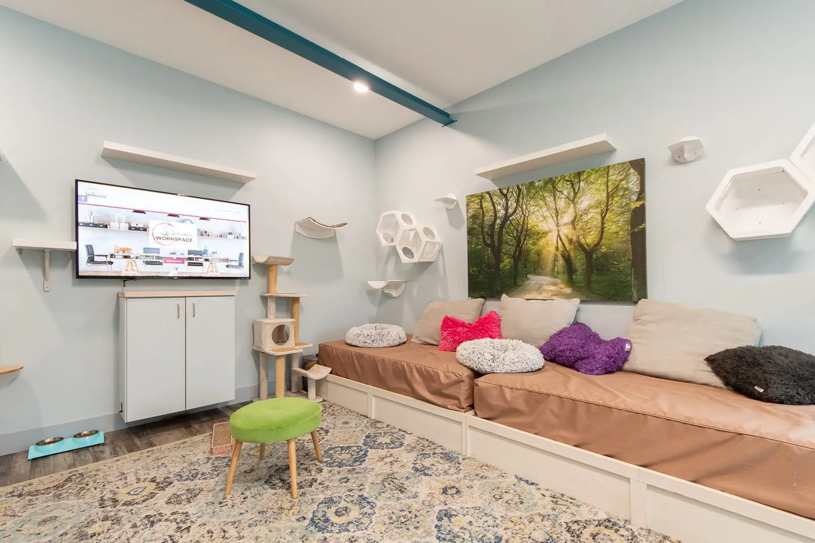 Whiskers Oasis Workspace