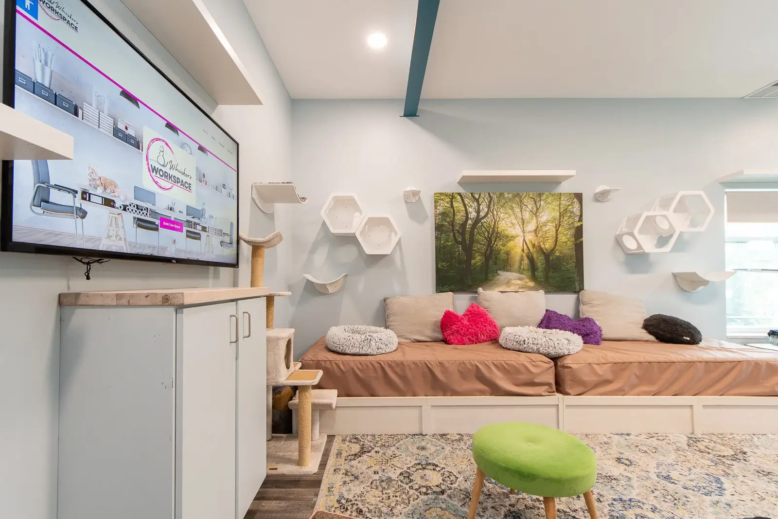 Whiskers Oasis Workspace