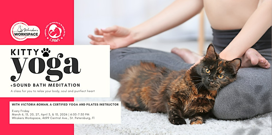Kitty Yoga + Sound Bath Meditation