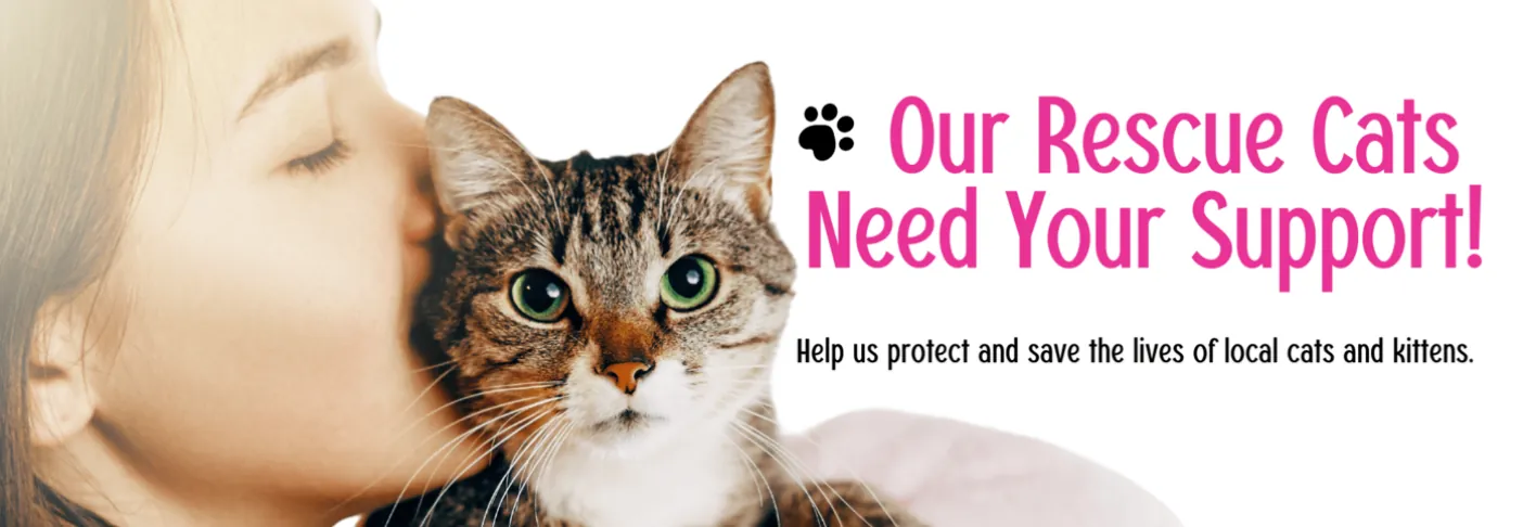 Rescue Cats Donation banner