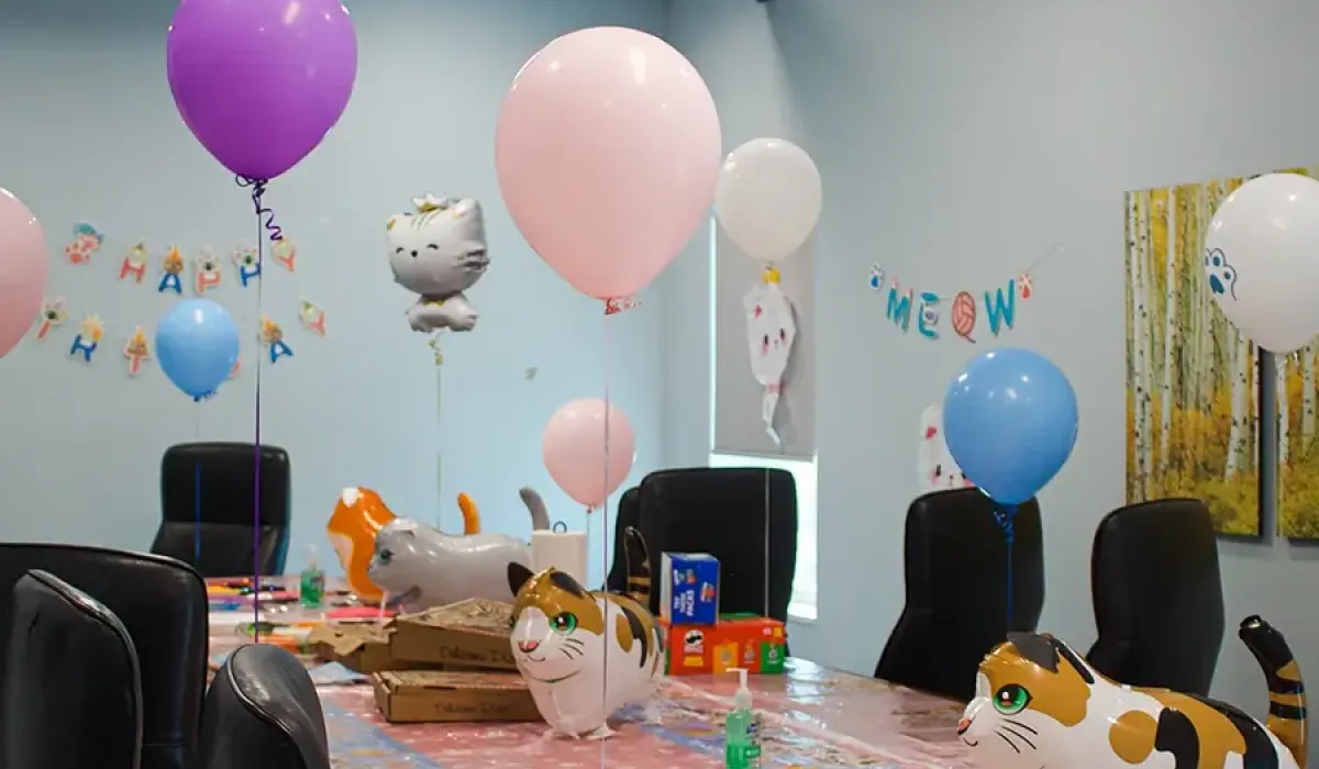 Cat Themed Birthday Party