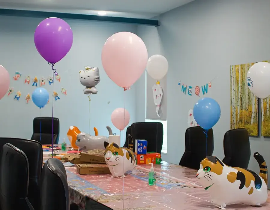 Cat Themed Birthday Party
